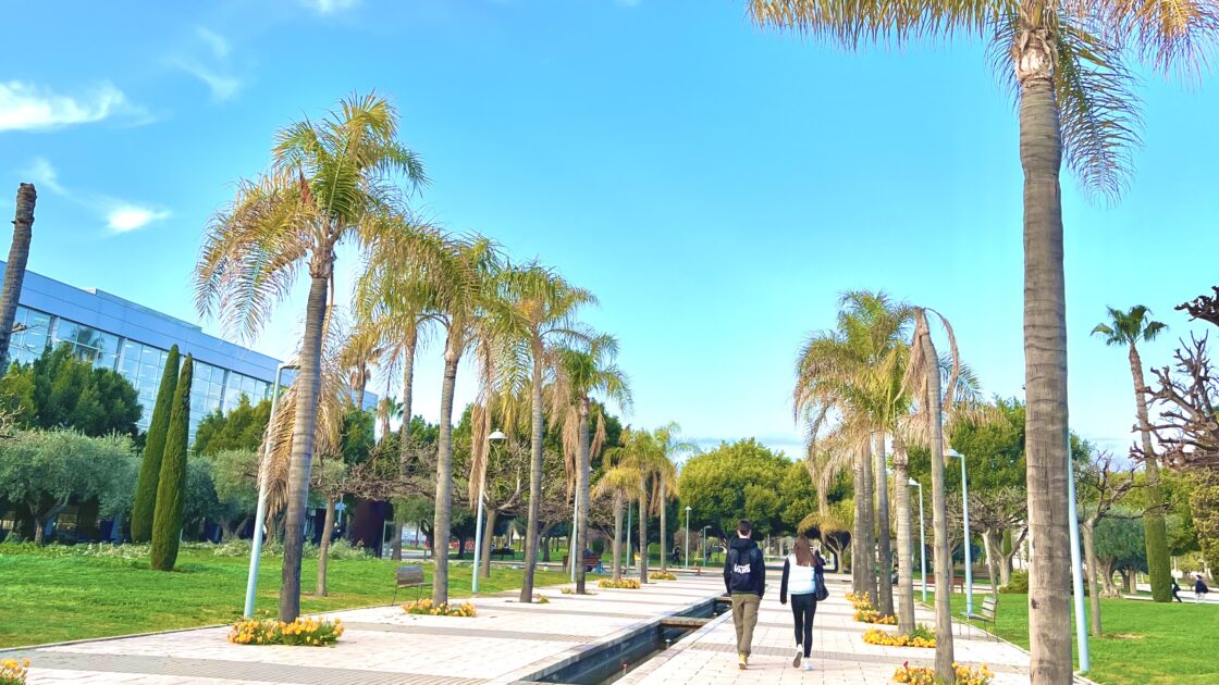 スペインのアリカンテにあるアリカンテ大学の写真