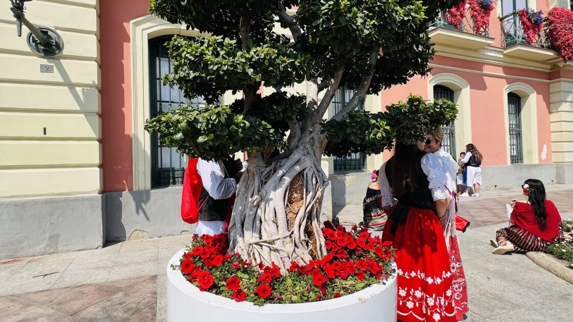 スペイン・ムルシアの春祭りを彩る、街中に咲き誇る美しい花々と街並み