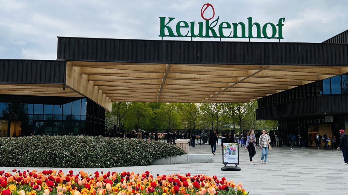 オランダのキューケンホフ公園とチューリップの花畑