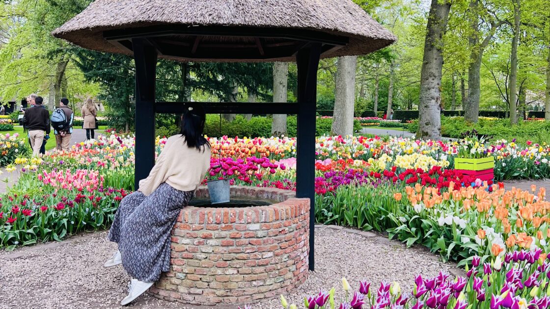 オランダのキューケンホフ公園とチューリップの花畑とはるカタルーニャ