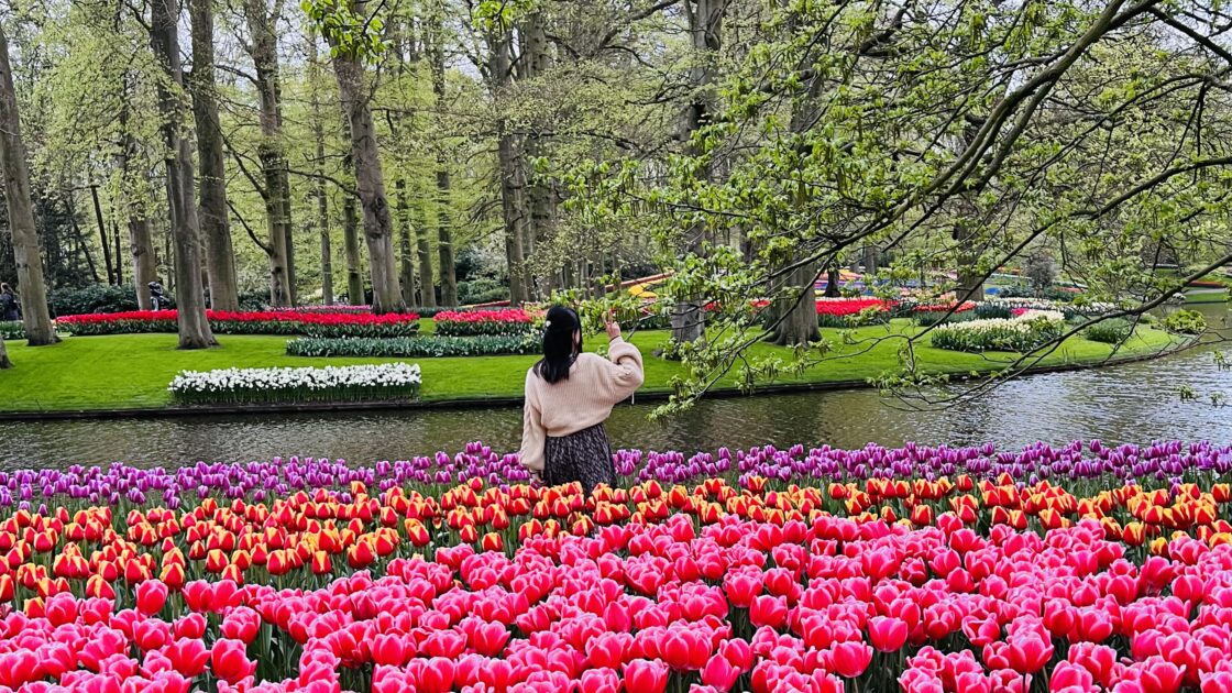 オランダのキューケンホフ公園とチューリップの花畑とはるカタルーニャ
