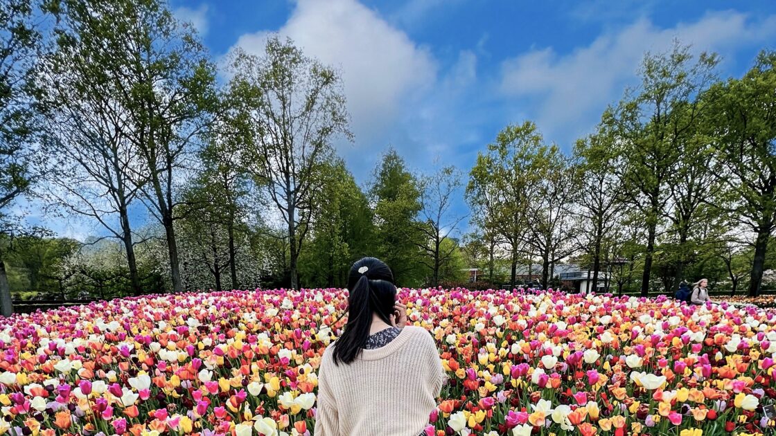 オランダのキューケンホフ公園とチューリップの花畑とはるカタルーニャ