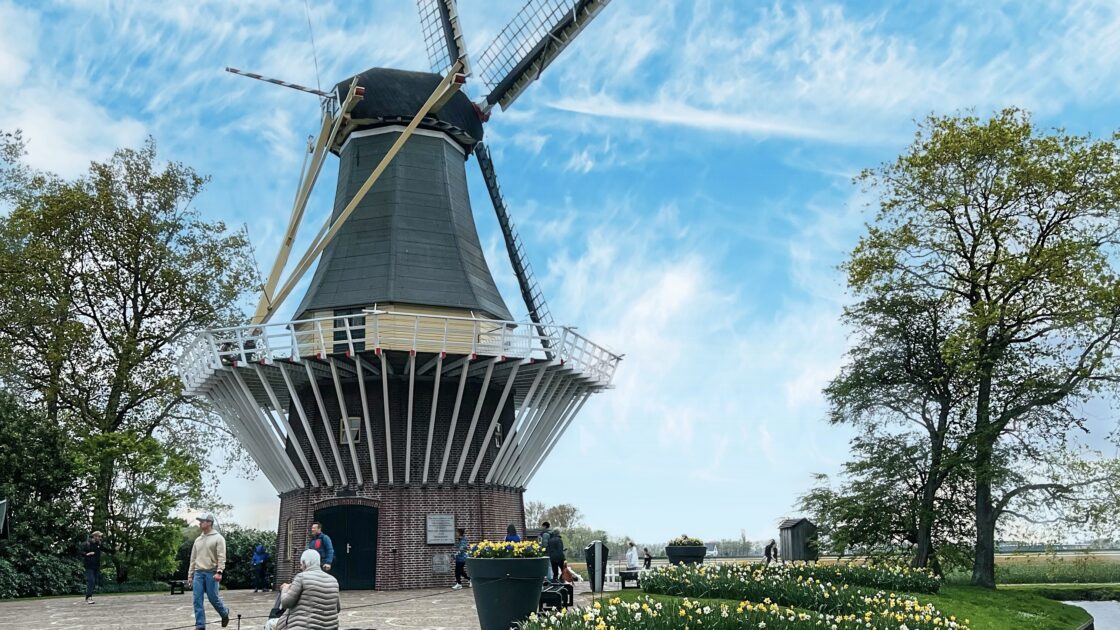 オランダのキューケンホフ公園とチューリップの花畑と風車