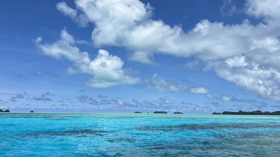 パラオの首都コロールから行った美しすぎる海の写真