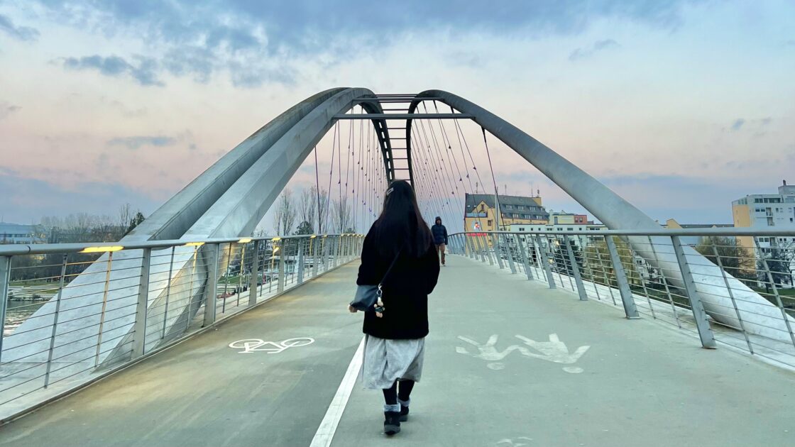 スイスの3カ国の国境のあるバーゼルの街並みと橋の上からの景色