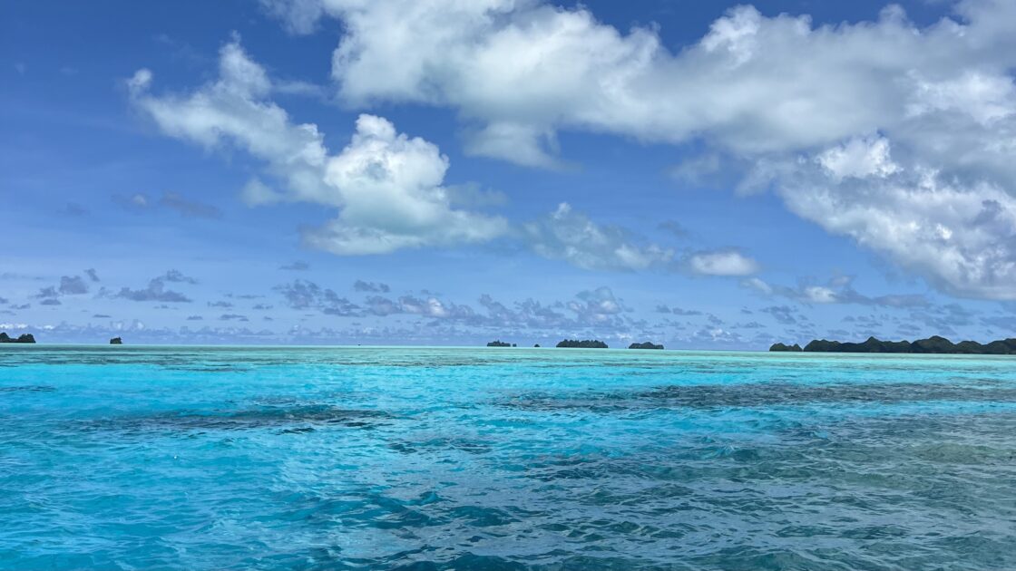 パラオの海