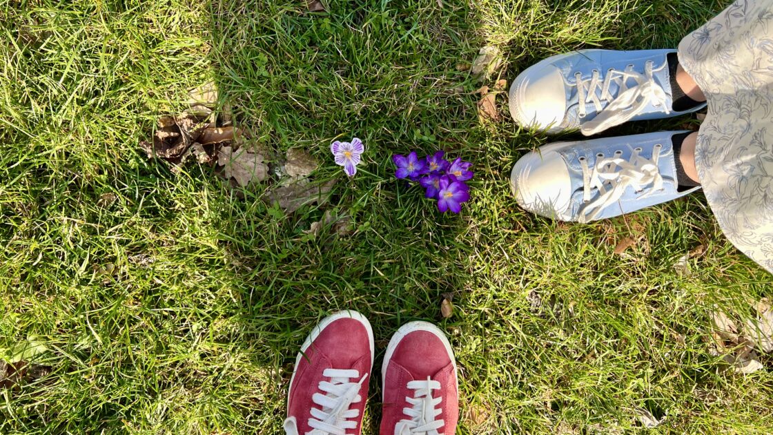 ドイツのハルツ地方にある世界遺産の街ゴスラーの皇帝居城の花と靴