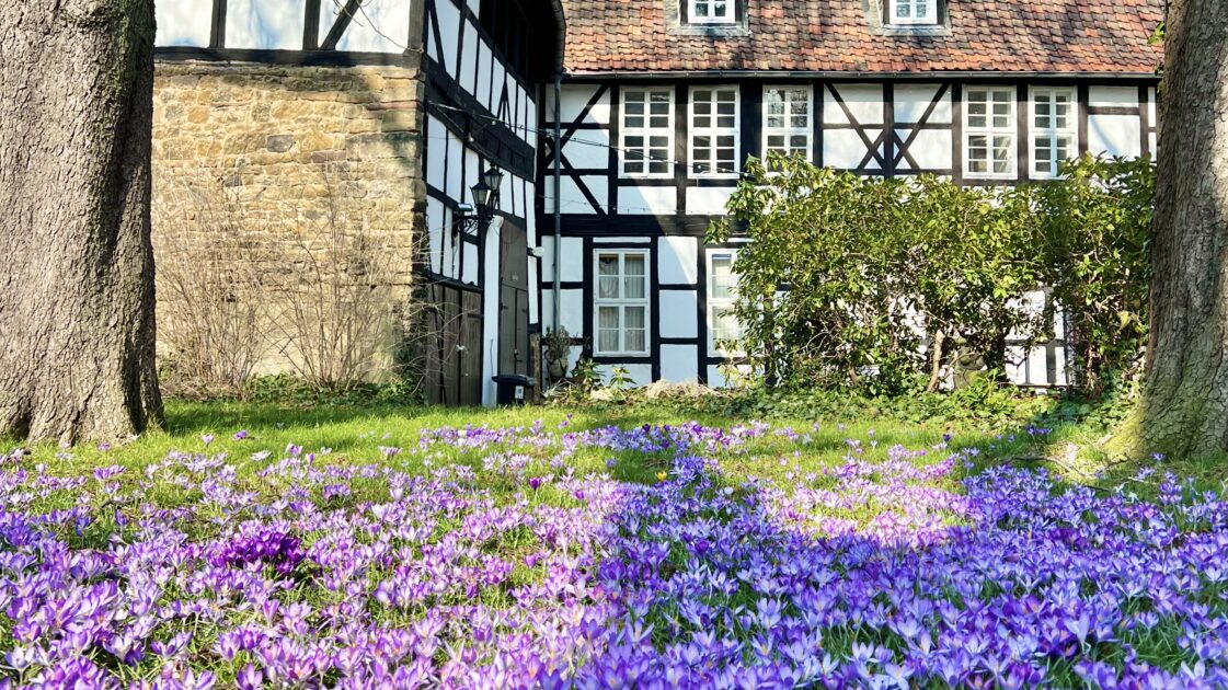 ドイツのハルツ地方にある世界遺産の街ゴスラーの木組の家と街並みと花畑