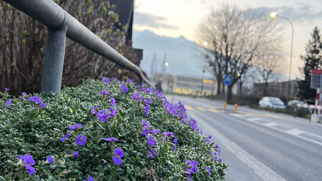 リヒテンシュタイン公国の首都ファドゥーツの花と自然