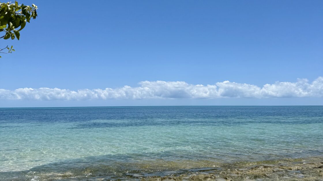 グリーン島の美しい海