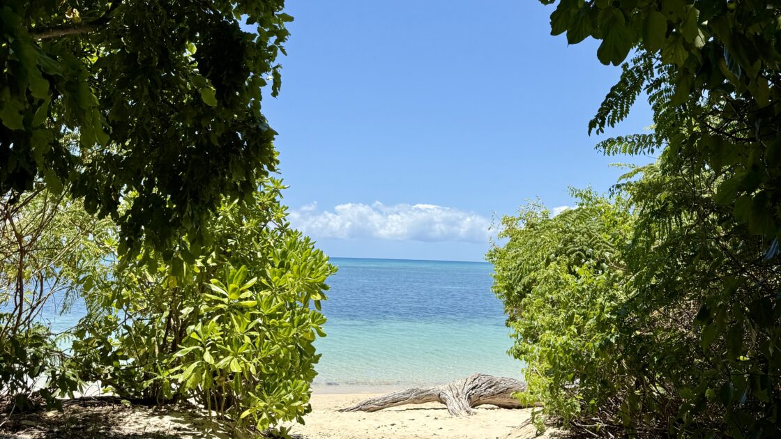 グリーン島の美しい海