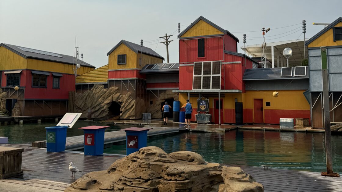 オーストラリアのゴールドコーストのシーワールドのアシカショー