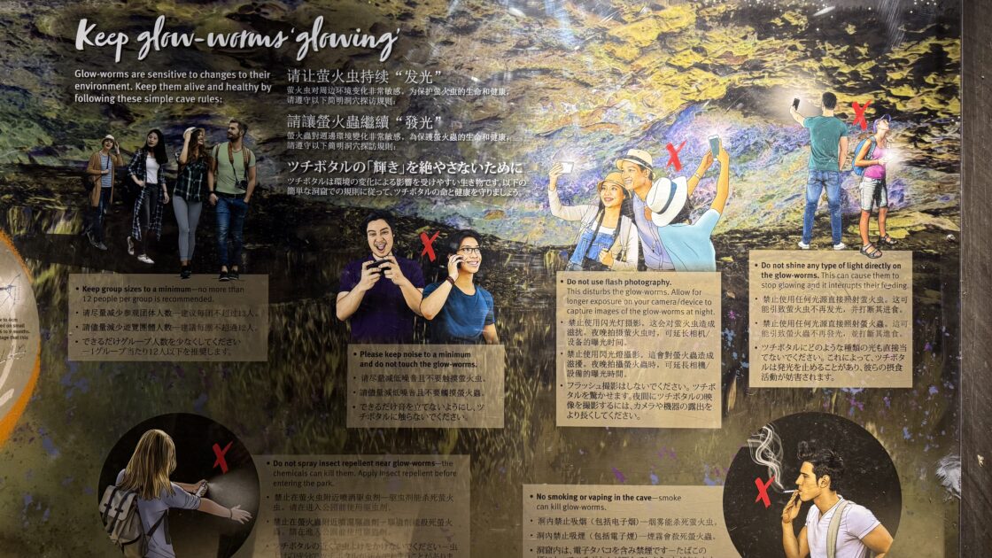 オーストラリアのゴールドコーストの土ボタルツアーの写真