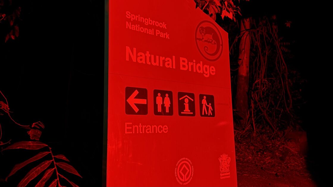 オーストラリアのゴールドコーストの土ボタルツアーの写真