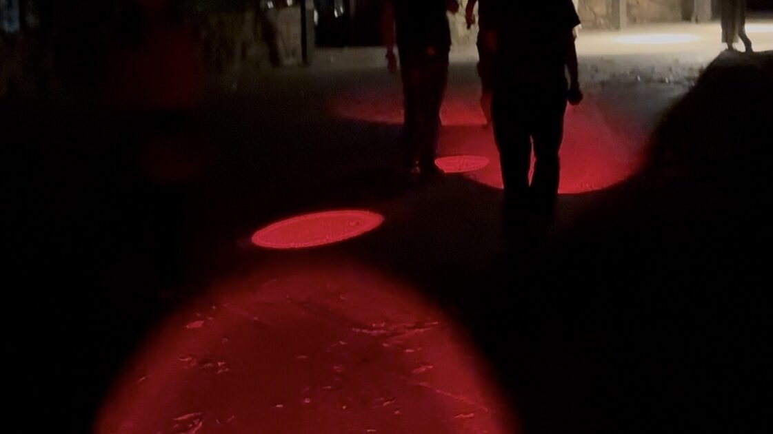 オーストラリアのゴールドコーストの土ボタルツアーの写真