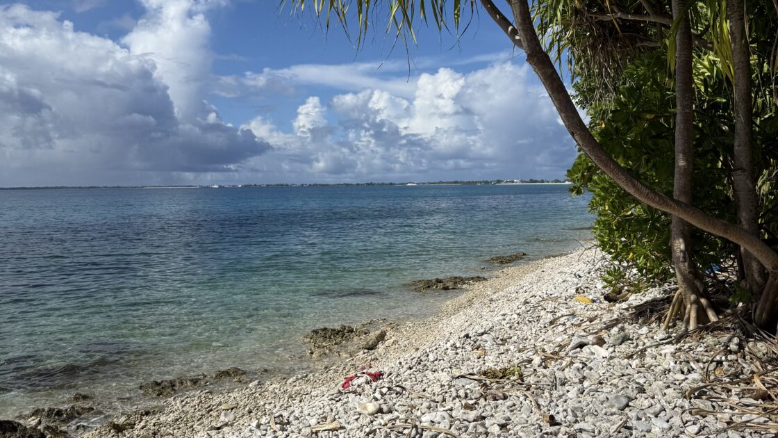 ツバル南端の白い石の浜辺に立つヤシの木と、青空と海。