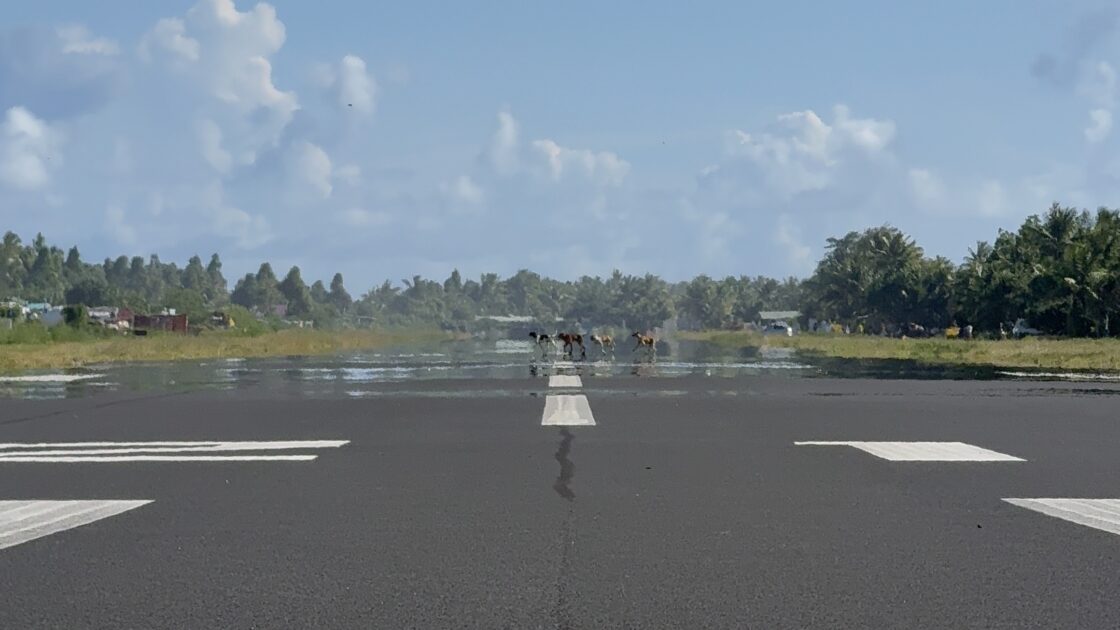 ツバルの昼の滑走路。カゲロウが揺らめく奥のほうに、4匹の犬が歩いている様子。