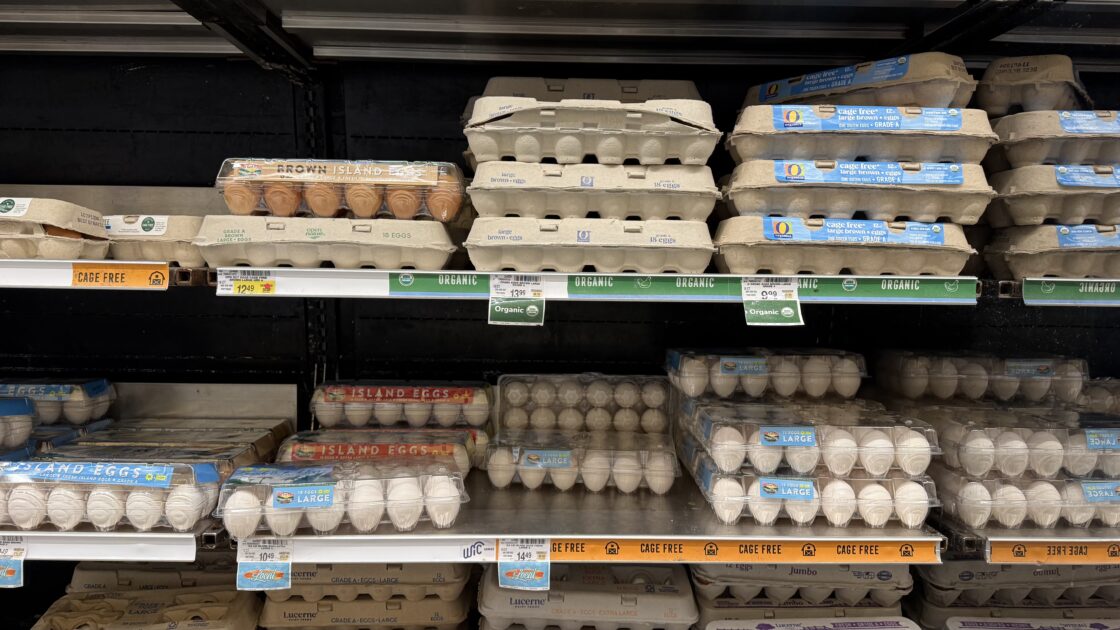 Safewayの卵売り場